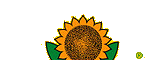 Neudorff-Logo