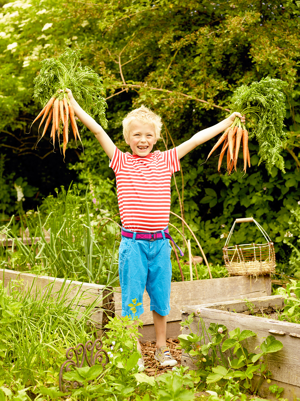 Enfant récoltant des carottes