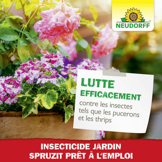 Insecticide Spruzit AF Insecticide Jardin Sprechende Bilder Bild 6