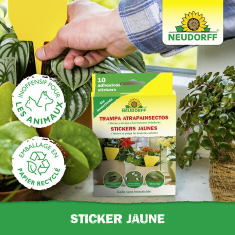 Sticker jaune Sprechende Bilder Bild 5