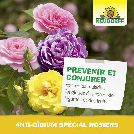 Armicarb Jardin Spray Anti-Oïdium Sprechende Bilder Bild 6