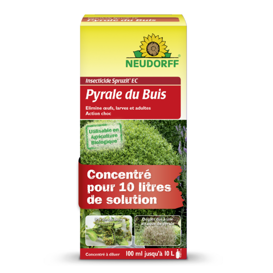 Insecticide Spruzit EC Pyrale du Buis Sprechende Bilder Bild 1 Insecticide Spruzit EC Pyrale du Buis Sprechende Bilder Bild 1