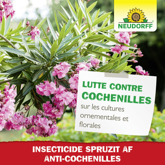 Insecticide Spruzit AF Anti-Cochenilles Sprechende Bilder Bild 6