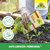 Anti-Limaces Ferramol Sprechende Bilder Bild 5