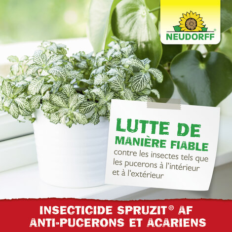 Insecticide Spruzit EC Pucerons et Acariens Sprechende Bilder Bild 6