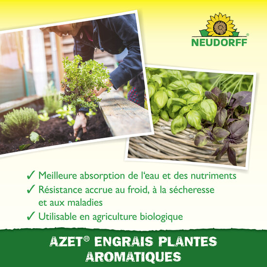 Azet Engrais plantes aromatiques Sprechende Bilder Bild 4_FR Azet Engrais plantes aromatiques Sprechende Bilder Bild 4_FR
