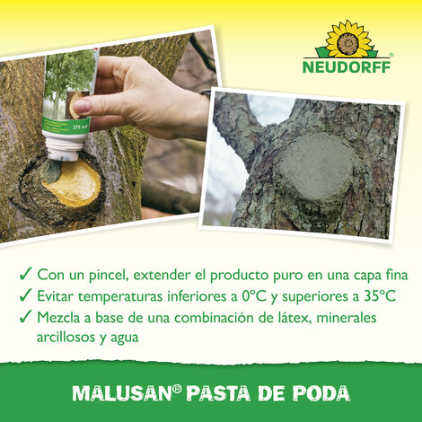 Mastic à Cicatriser Sprechende Bilder Bild 4_ES