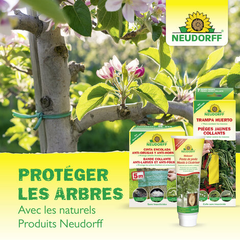 Pièges à Mouche de la cerise Sprechende Bilder