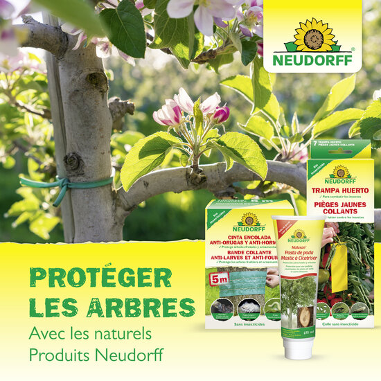 Pièges à Mouche de la cerise Sprechende Bilder Pièges à Mouche de la cerise Sprechende Bilder