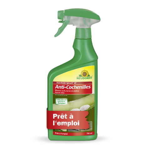 Insecticide Spruzit AF Anti-Cochenilles Sprechende Bilder Bild 1