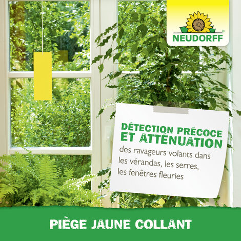 Piège Jaune Collant Sprechende Bilder Bild 7