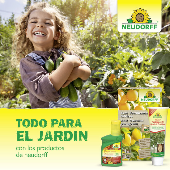 Mastic à Cicatriser Sprechende Bilder Bild 7_ES