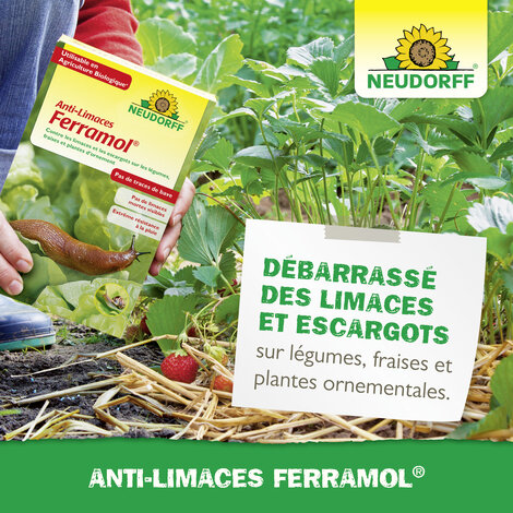 Anti-Limaces Ferramol Sprechende Bilder Bild 6