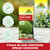 Insecticide Spruzit EC Pyrale du Buis Sprechende Bilder Bild 5 Insecticide Spruzit EC Pyrale du Buis Sprechende Bilder Bild 5