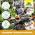NeudoHum Terreau Universel Sprechende Bilder Bild 5_ES NeudoHum Terreau Universel Sprechende Bilder Bild 5_ES