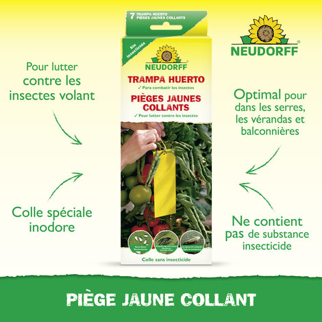 Piège Jaune Collant Sprechende Bilder Bild 2