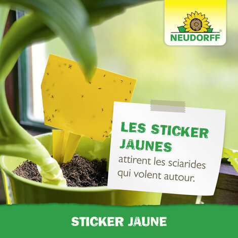 Sticker jaune Sprechende Bilder Bild 7