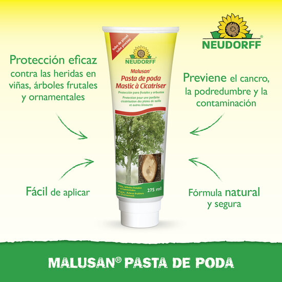 Mastic à Cicatriser Sprechende Bilder Bild 2_ES