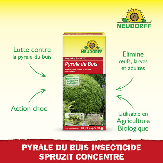 Insecticide Spruzit EC Pyrale du Buis Sprechende Bilder Bild 2 Insecticide Spruzit EC Pyrale du Buis Sprechende Bilder Bild 2