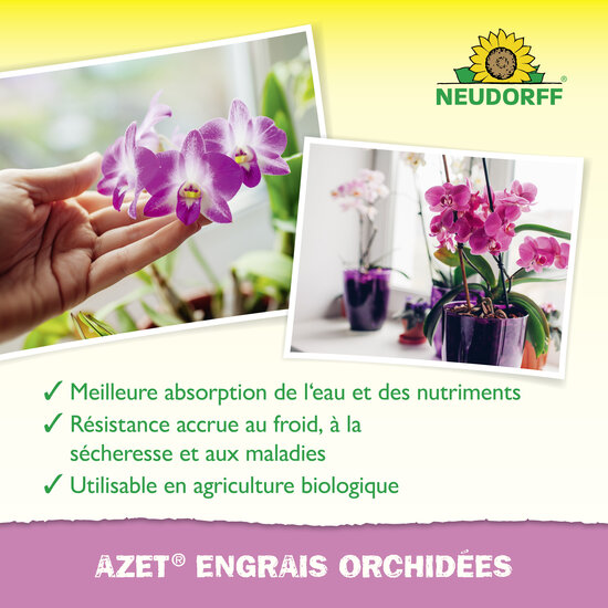 Azet Engrais orchidées Sprechende Bilder Bild 4_FR Azet Engrais orchidées Sprechende Bilder Bild 4_FR