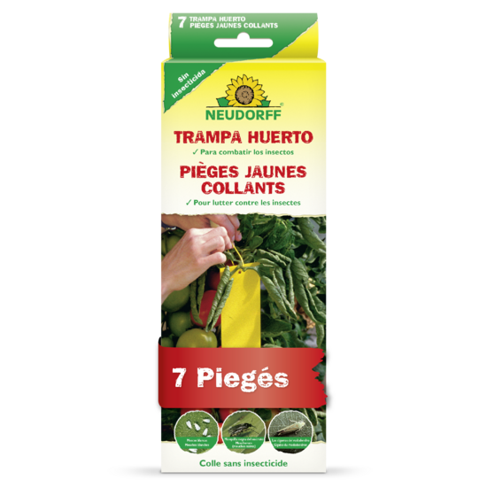 Piège Jaune Collant Sprechende Bilder Bild 1 Piège Jaune Collant Sprechende Bilder Bild 1