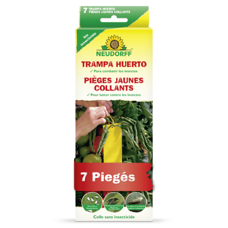 Piège Jaune Collant Sprechende Bilder Bild 1