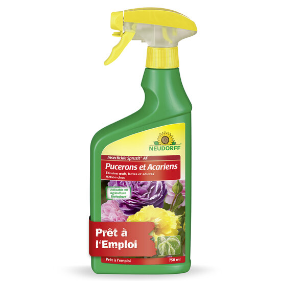 Insecticide Spruzit AF Pucerons et Acariens Sprechende Bilder Bild 1 Insecticide Spruzit AF Pucerons et Acariens Sprechende Bilder Bild 1