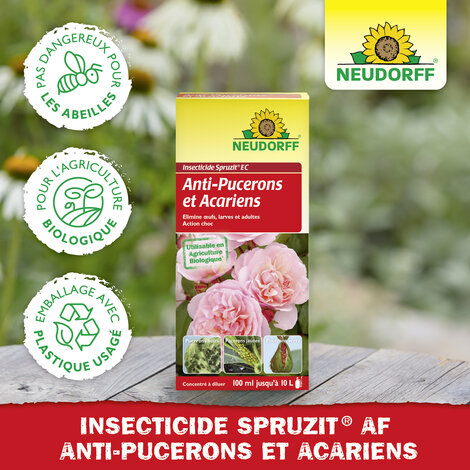 Insecticide Spruzit EC Pucerons et Acariens Sprechende Bilder Bild 5