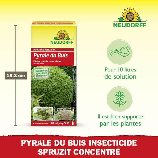 Insecticide Spruzit EC Pyrale du Buis Sprechende Bilder Bild 3 Insecticide Spruzit EC Pyrale du Buis Sprechende Bilder Bild 3