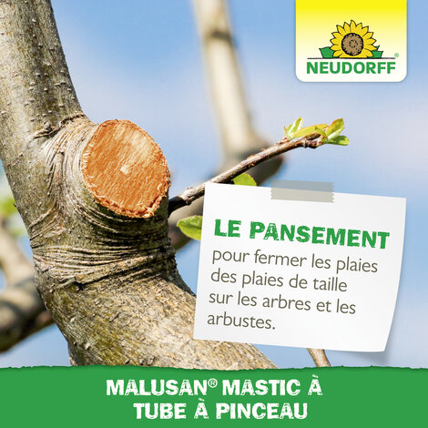 Mastic à Cicatriser Sprechende Bilder Bild 6