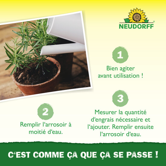 Azet Engrais plantes aromatiques Sprechende Bilder Bild 5_FR Azet Engrais plantes aromatiques Sprechende Bilder Bild 5_FR