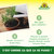 Azet Engrais plantes aromatiques Sprechende Bilder Bild 5_FR Azet Engrais plantes aromatiques Sprechende Bilder Bild 5_FR