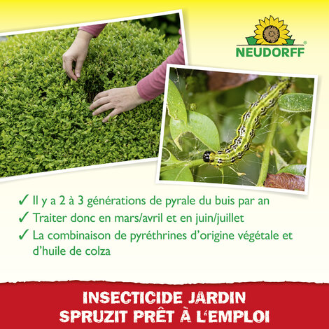 Insecticide Spruzit EC Pyrale du Buis Sprechende Bilder Bild 4