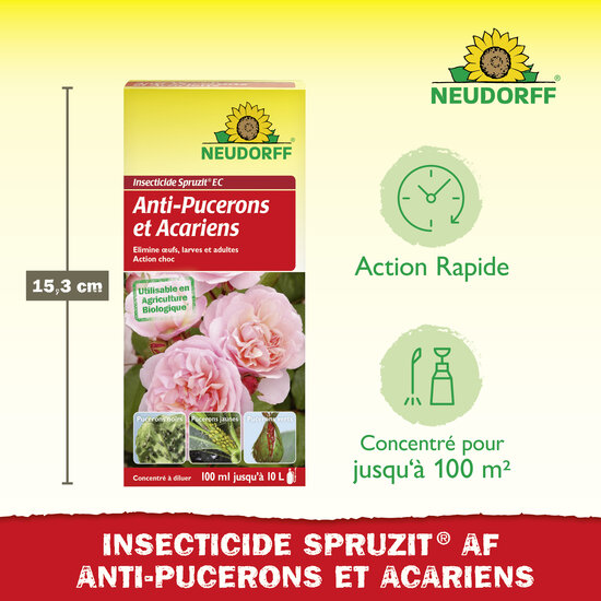 Insecticide Spruzit EC Anti-Pucerons et Acariens Concentré à diluer Sprechende Bilder