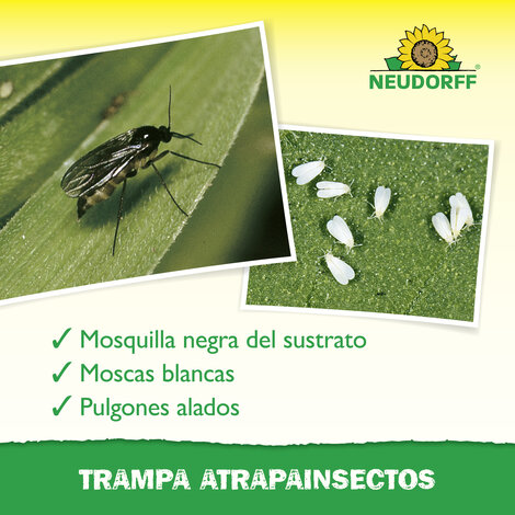 Sticker jaune Sprechende Bilder Bild 4_ES