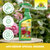Armicarb Jardin Spray Anti-Oïdium Sprechende Bilder Bild 5