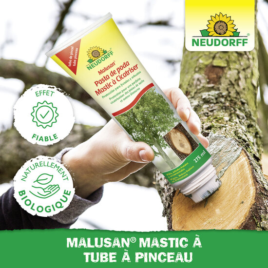 Mastic à Cicatriser Sprechende Bilder Bild 5