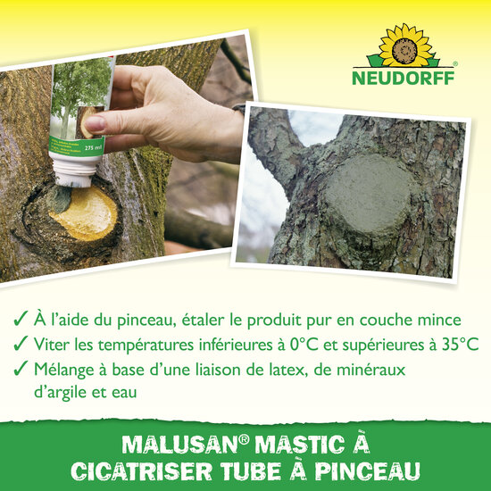 Mastic à Cicatriser Sprechende Bilder Bild 4