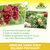 Armicarb Jardin Spray Maladies Polyvalent Sprechende Bilder Bild 4