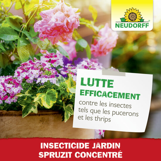 Insecticide Spruzit EC Insecticide Jardin Sprechende Bilder Bild 6 Insecticide Spruzit EC Insecticide Jardin Sprechende Bilder Bild 6