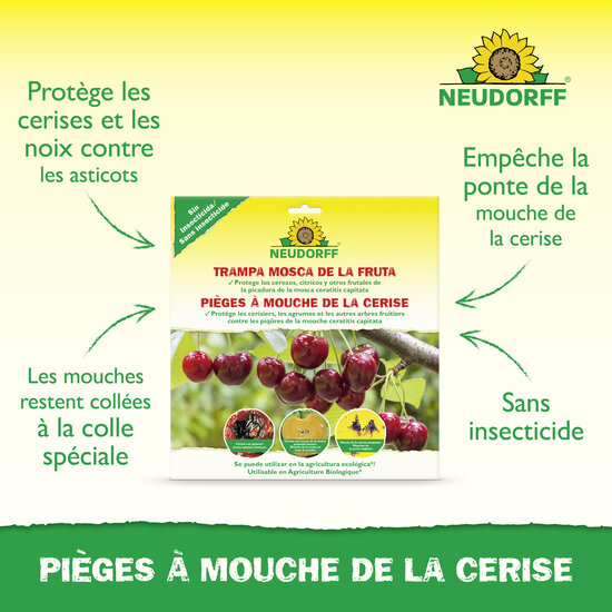Pièges à Mouche de la cerise Sprechende Bilder Bild 2 Pièges à Mouche de la cerise Sprechende Bilder Bild 2