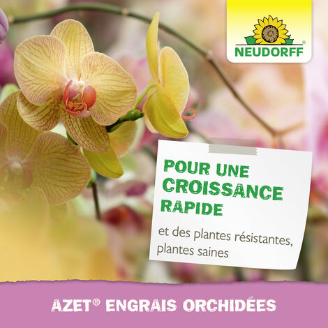 Azet Engrais orchidées Sprechende Bilder Bild 7_FR