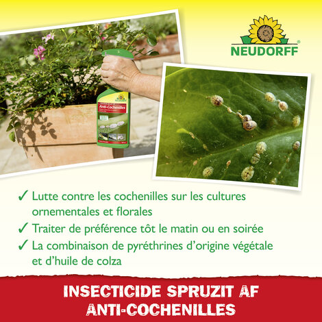 Insecticide Spruzit AF Anti-Cochenilles Sprechende Bilder Bild 4