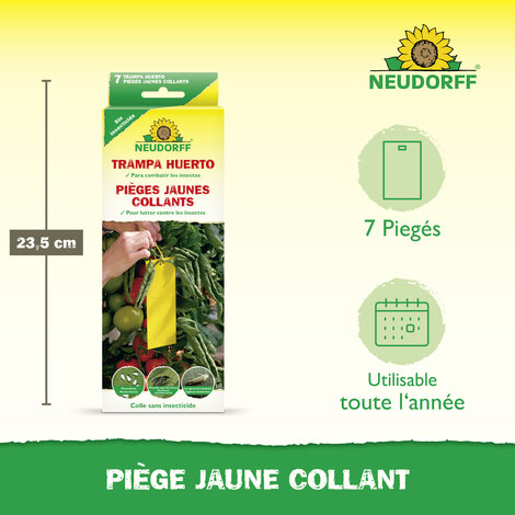 Piège Jaune Collant Sprechende Bilder Bild 3