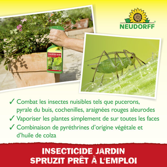 Insecticide Spruzit AF Insecticide Jardin Sprechende Bilder Bild 4