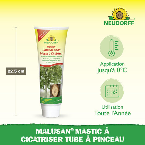 Mastic à Cicatriser Sprechende Bilder Bild 3