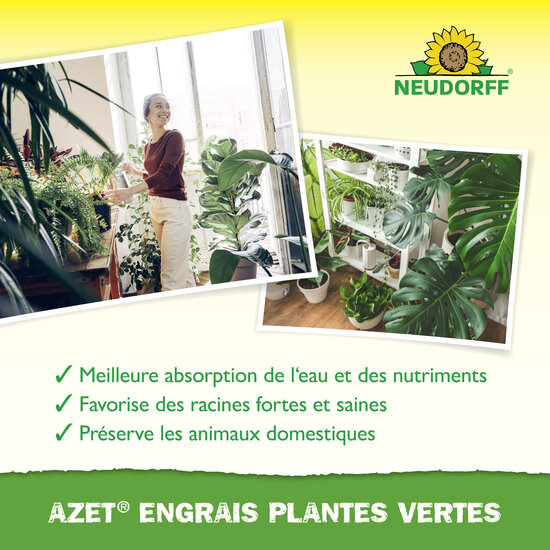 Azet Engrais plantes vertes Sprechende Bilder Bild 4_FR Azet Engrais plantes vertes Sprechende Bilder Bild 4_FR