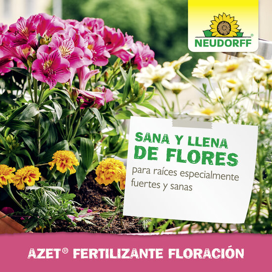 Azet Engrais Fleurs Sprechende Bilder Bild 6_ES Azet Engrais Fleurs Sprechende Bilder Bild 6_ES