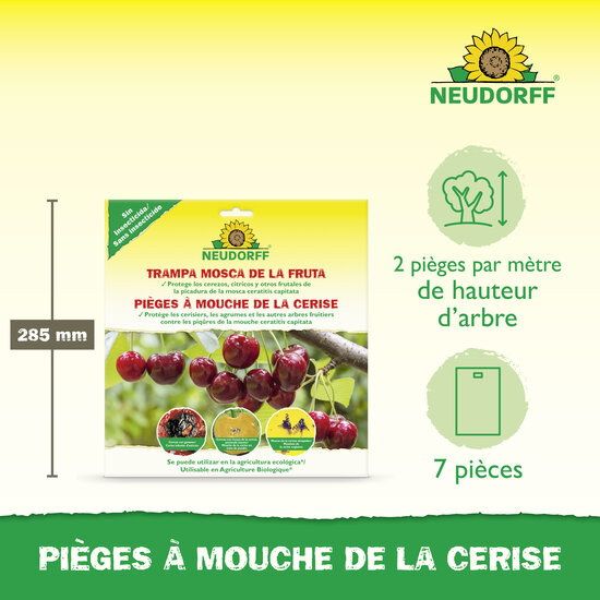 Pièges à Mouche de la cerise Sprechende Bilder Bild 3 Pièges à Mouche de la cerise Sprechende Bilder Bild 3