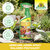 Armicarb Jardin Spray Maladies Polyvalent Sprechende Bilder Bild 5